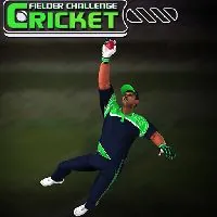 Cricket Fielder Challenge Game - 3kh0 Games