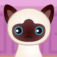 Guess The Kitty - 3kh0 Games