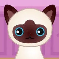 Guess The Kitty - 3kh0 Games